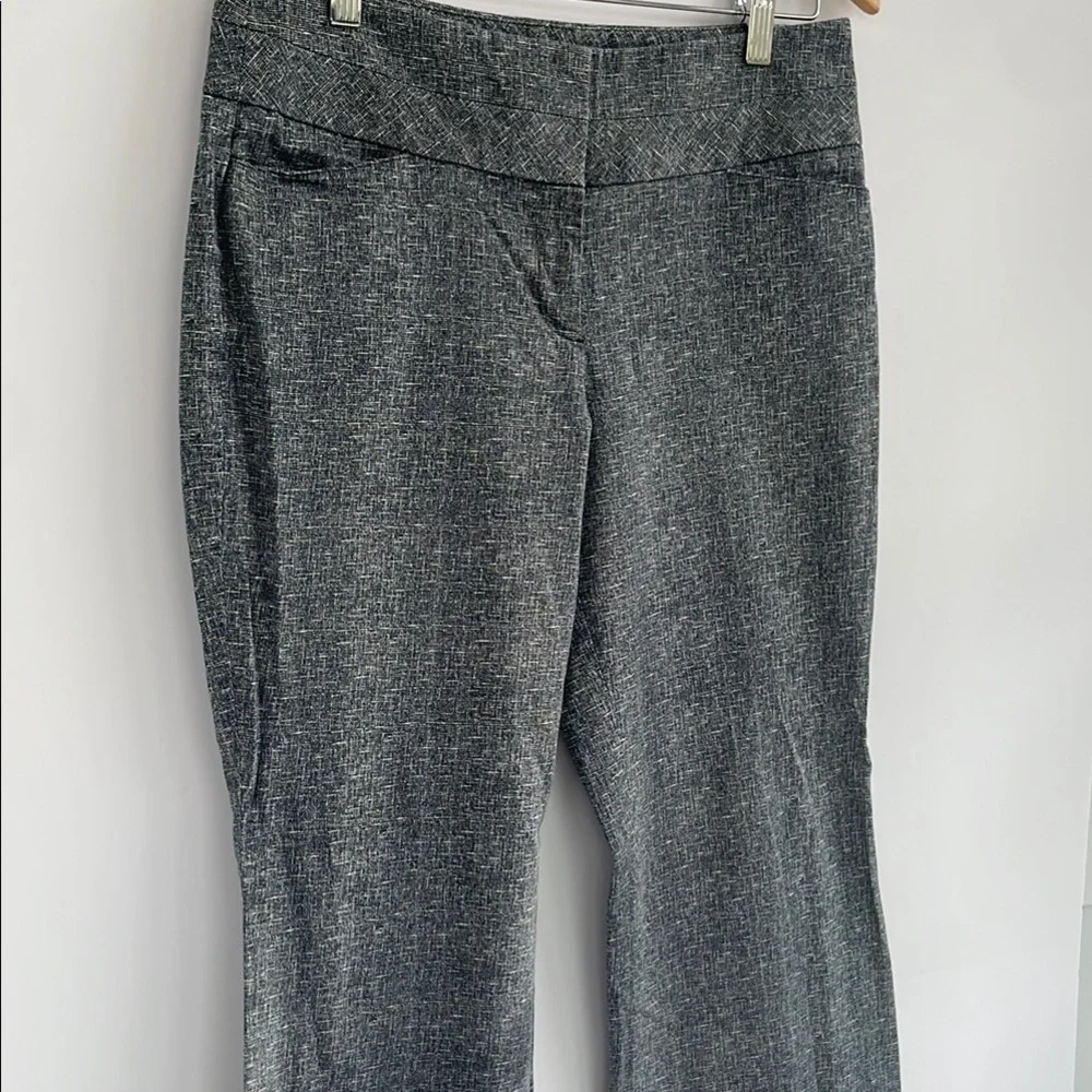 Express Wide Leg Pants Office Slacks Size 4
